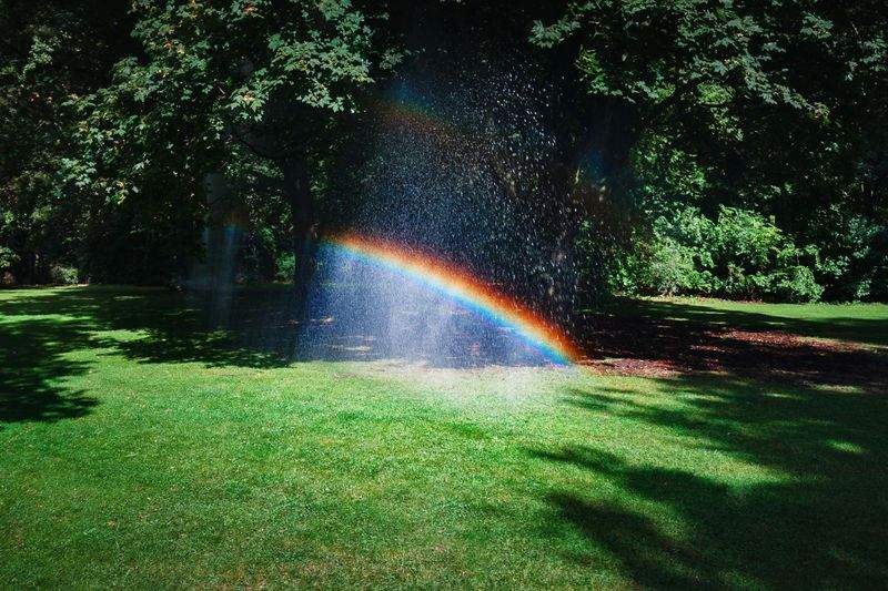 Designing a Garden That Feels Beautiful in Every Season